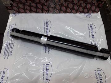 Ammortizzatori Posteriori DR1 - DR2 722020031