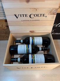 Vite Colte Barbaresco 2019 6x0,75L