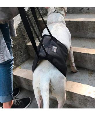 Supporto cane anziano