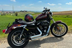 Harley davidson 883