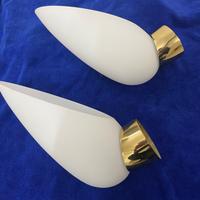 Coppia plafoniere vetro murano