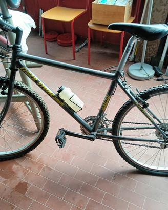bici Graziella e mountain bike e x  bimbo 