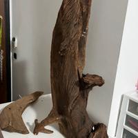 Legni grandi e particolari per teca e luci