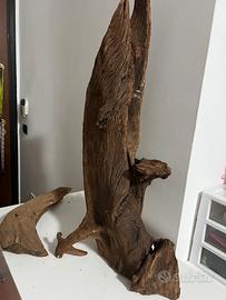 Legni grandi e particolari per teca e luci