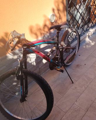biciclette