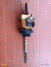 TAGLIASIEPI A SCOPPIO ALPINE