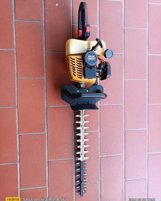 TAGLIASIEPI A SCOPPIO ALPINE