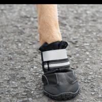 Scarpette cane S&P Boots