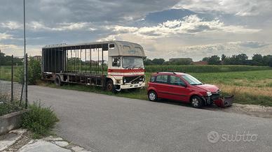 camion trasporto cavalli 