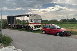 camion trasporto cavalli 