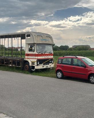 camion trasporto cavalli 