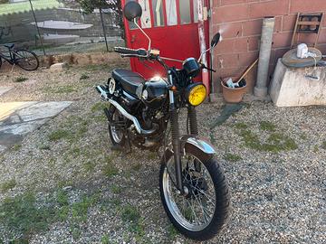 Mash Scrambler 125