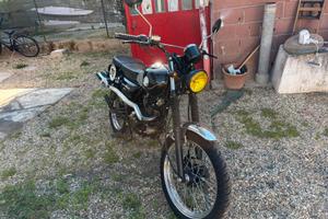 Mash Scrambler 125