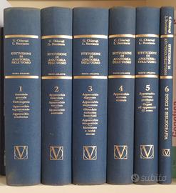 CHIARUGI Bucciante, Testo atlante ANATOMIA, ed. 11