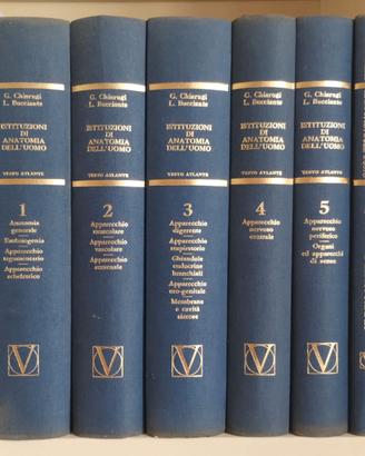 CHIARUGI Bucciante, Testo atlante ANATOMIA, ed. 11