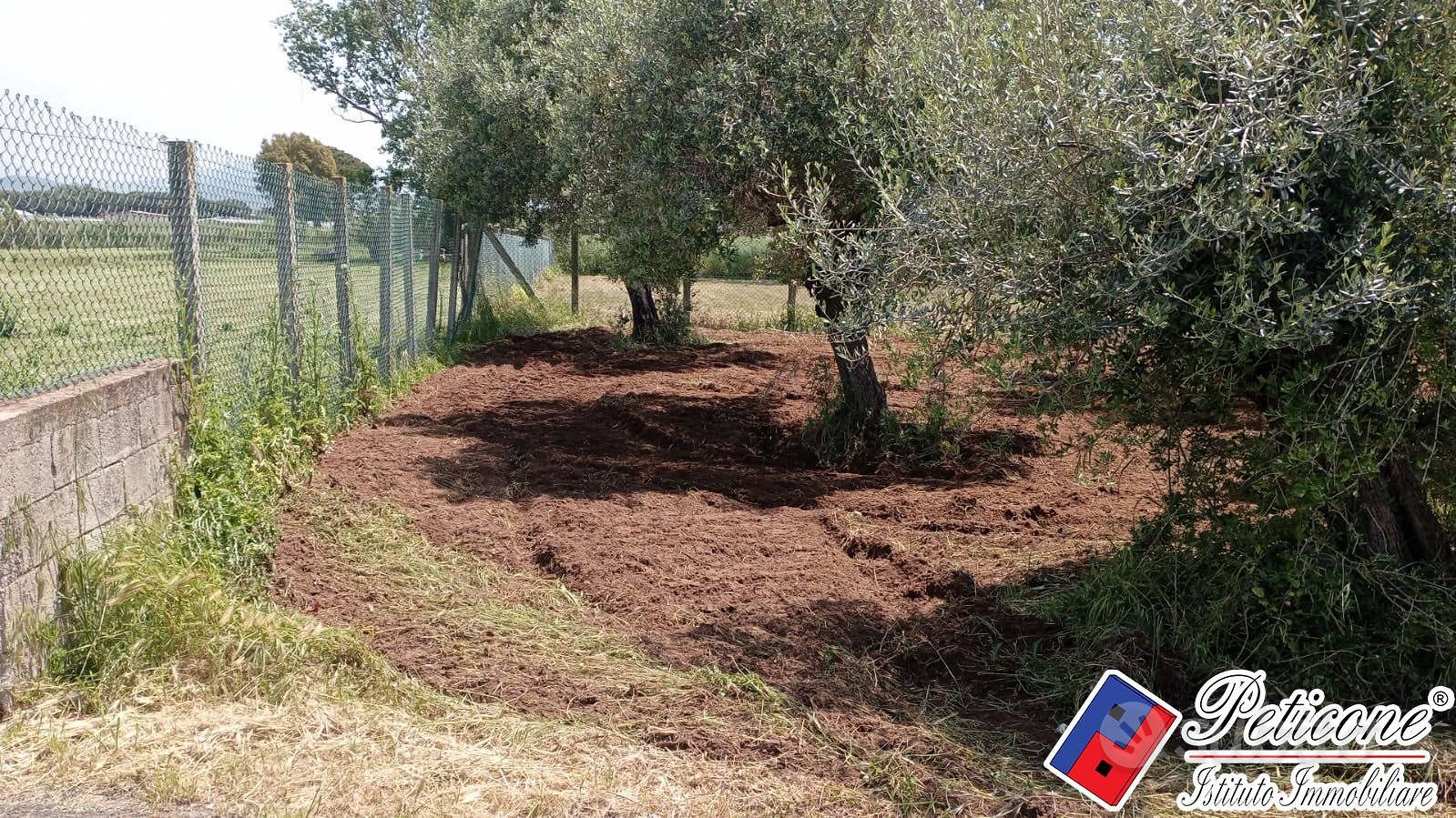 Terreno agricolo - Fondi - Vista 3