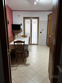 Appartamento libero da subito
