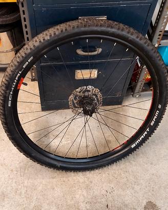 ruota bici 