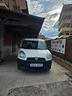 fiat-doblo-doblo-wok-up-1-6-mjt-105cv-cassonato