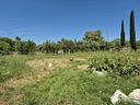 terreno-agricolo-grosseto-cod-rif-3249948vcg-