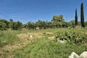 Terreno Agricolo Grosseto [Cod. rif 3249948VCG]