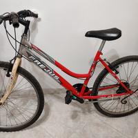 Bicicletta Mountain Bike