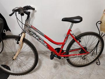 Bicicletta Mountain Bike