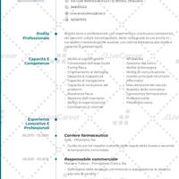 Autista patente B../corriere.