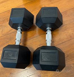 Manubri kingsbox 20kg