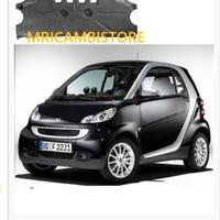 SMART 451 -RIPARO SOTTOMOTORE-