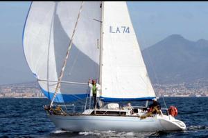 barca a vela classis segugio 8.50