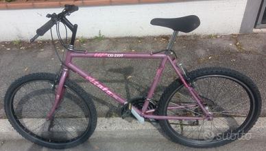 Mountainbike