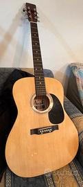 Chitarra acustica amplificata