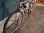 Immagine 3