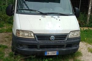 Fiat Ducato Maxi