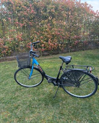 Bicicletta