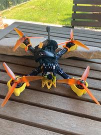 Drone fpv digitale 5 pollici da bando DDI