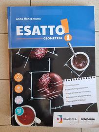 libri aritmetica e geometra 1° media