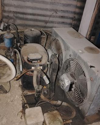 motori cella frigo