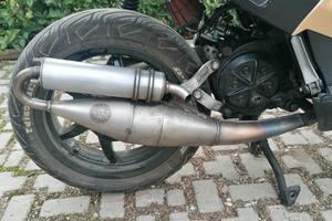marmitta  TT Leovince