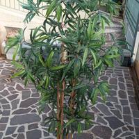 PIANTA TIPO FELCE SINTETICA ALTEZZA 1.80m.