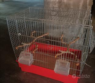 Gabbie canarini, cocorite