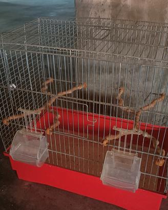 Gabbie canarini, cocorite