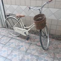 bici adulto