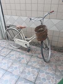 bici adulto