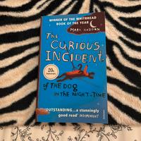 THE CURIOUS INCIDENT OF THE DOG IN THE NIGHT-TIME