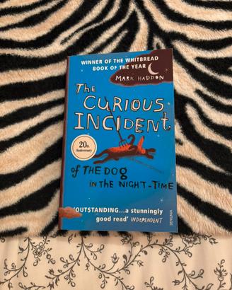 THE CURIOUS INCIDENT OF THE DOG IN THE NIGHT-TIME