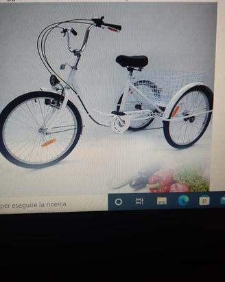 Triciclo da adulto con cestino – pari al nuovo