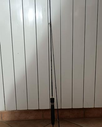 canna da pesca spinning trota