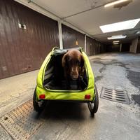 Carrellino trasportino da bici